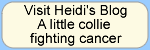 Heidi Blog Button