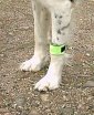 Leg wraps